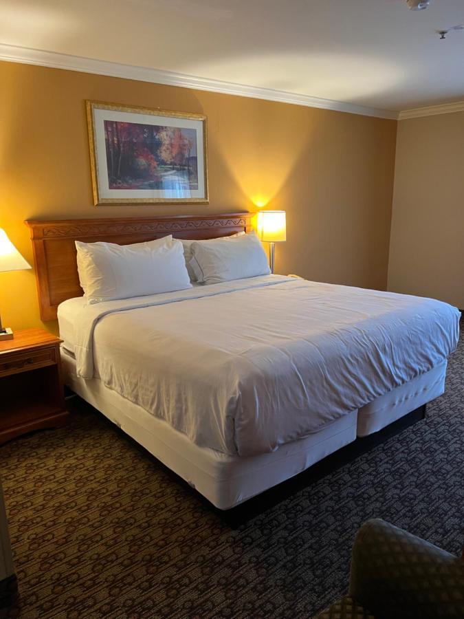 Hotel Xola Moreno Valley Zewnętrze zdjęcie